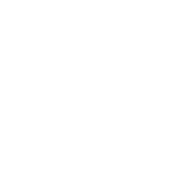 spirit of care